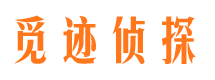 罗田市场调查